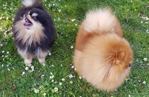 Apartment Luxus "Akzente-Art Minden" - Foto 43