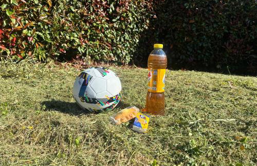 Il gatto e la volpe 1 - Foto 44