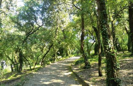 Covelo Apartment - Foto 29