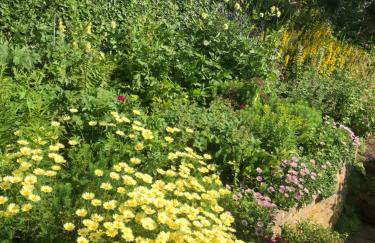 The Cottage Abbotsbury - Foto 36