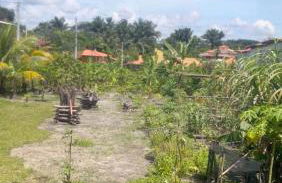 Ilha de Boipeba kitnets para temporada - Morada dos Pássaros Boipeba - Foto 9