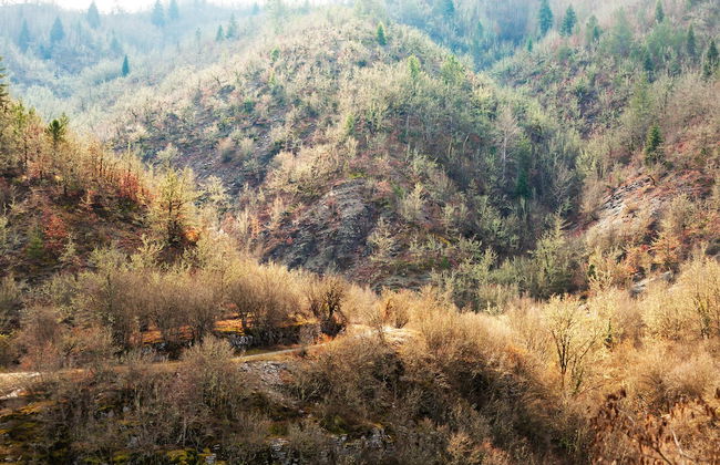 Heaven's View Kipoi - Photo 44