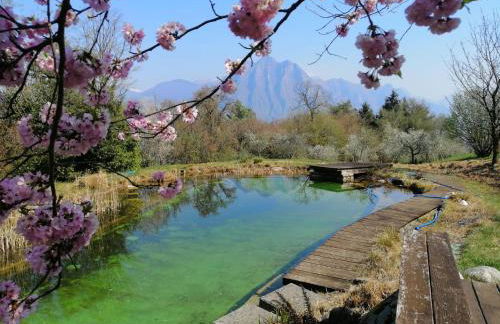 IseoLakeRental - Villa Dossello - Foto 18