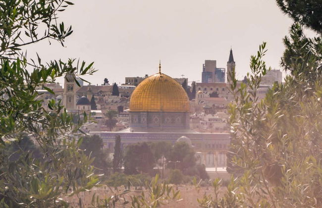 Tour del Monte degli Ulivi - Foto 1