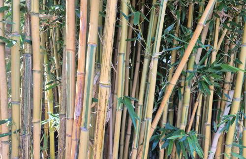 La Lilloise Villeneuve D'Ascq GD STADE Mauroy - Foto 23