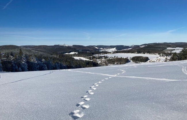 Uitzicht op de Bergen - Photo 18
