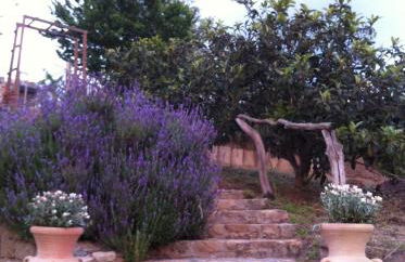 A FATA DI L'ORTOLO gîtes à la ferme - Foto 13