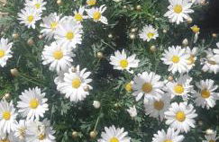 Casa le Gebbie - Photo 56