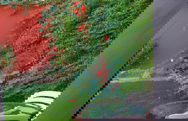 Casa Rural Los Chicos de Lastanosa - Foto 27