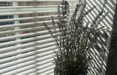 Cosy cottage - Foto 47