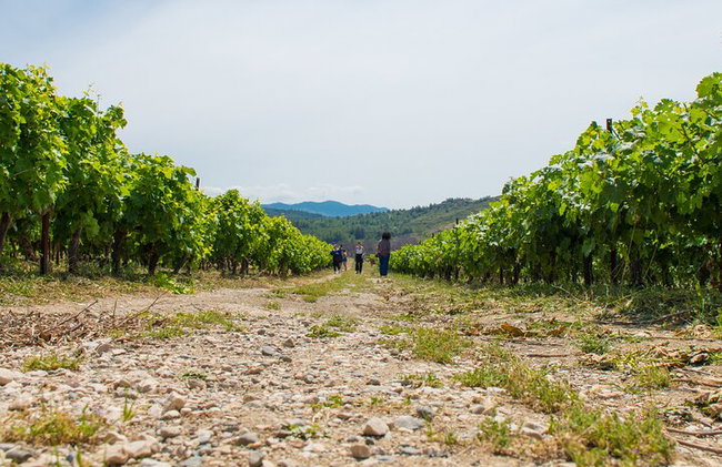 Elaboración de jabón tradicional guiado en Rodas - Foto 12