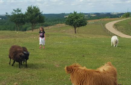 Domy Konesera - Foto 11