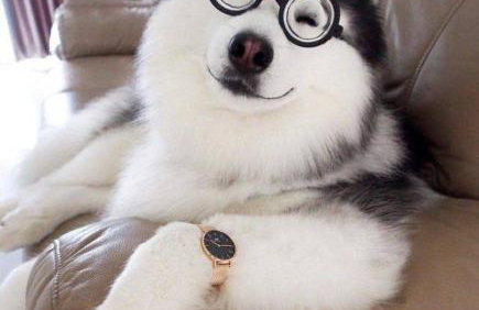 Tranquil Escape- Spa Bath & Pool for One or Couples - Foto 19