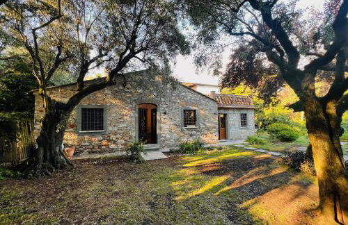 La Casina di Susy - Foto 1