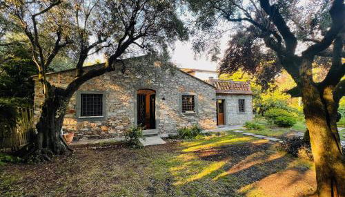 La Casina di Susy - Foto 1, Garden, Garden view