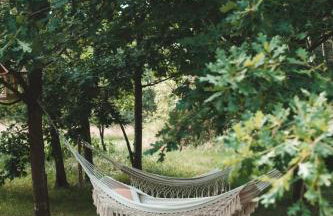 Domek w drzewach w Siedlisku Polanka - Foto 23