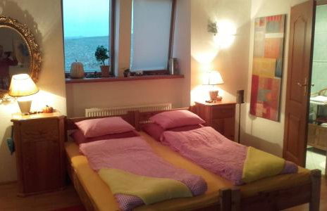 Farma Zdrowia - Foto 22