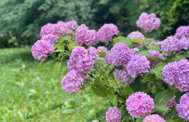 Apartament w zabytkowym budynku - Foto 19