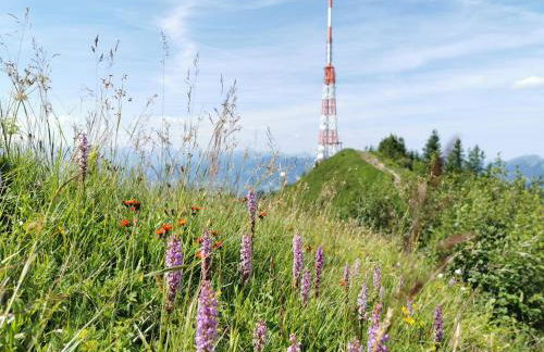 Ferienwohnung am Eichwald - Photo 35