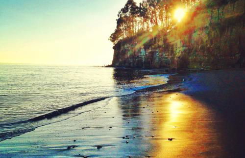 Cowell's Beach Retreat - steps to beach, restaurants, wharf, Boardwalk, shops, fast wifi, surf-in surf-out - Foto 43