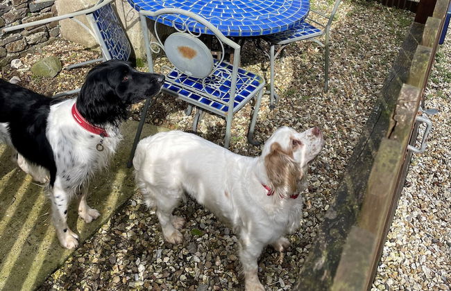 Fosfelle Cottages - Foto 34