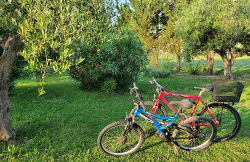 Phyllida Guest House - A1 - Foto 21