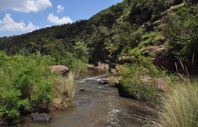 Ezemvelo Nature Reserve - Foto 15