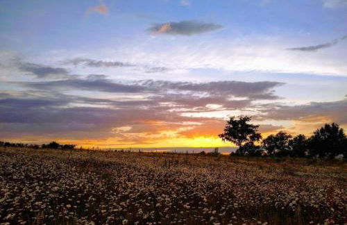 Cottage in Auvergne Near Cascade Gour - Foto 76