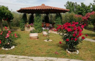 Monica's Country House - Foto 45