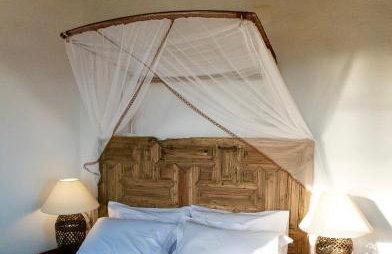 PositiveSpace Olive Tree - Foto 5