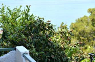 Jimi's House - Foto 27