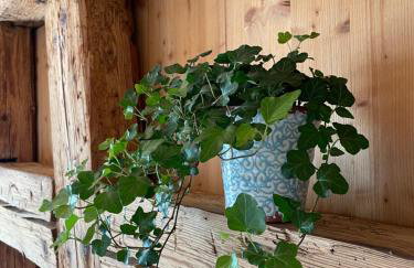 Schöne Ferienwohnung in Dürbheim - Foto 25