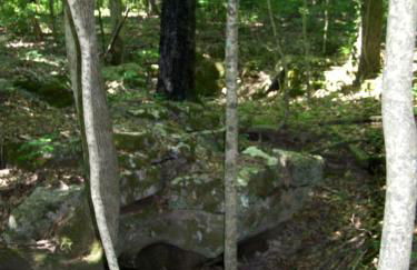 Secluded Watertree Tiny House near Old Hickory Lake – Private Deck, Trails & Breakfast - Foto 29