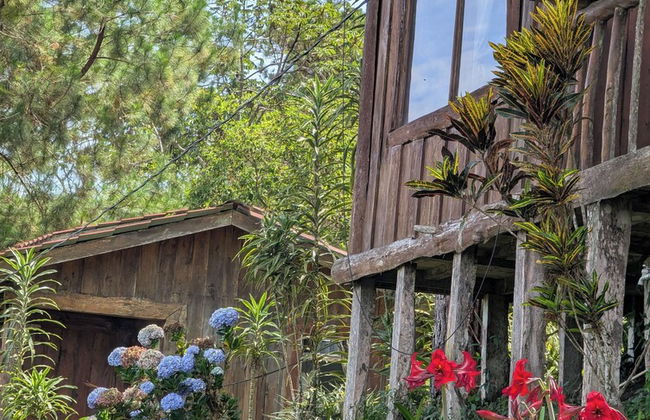 Campos de Oro Wilderness Lodge - Photo 68