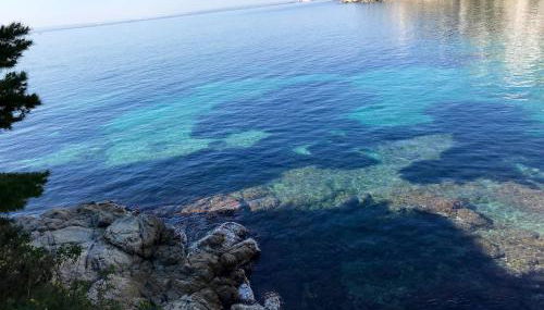 CASTELL BLAU - Foto 4