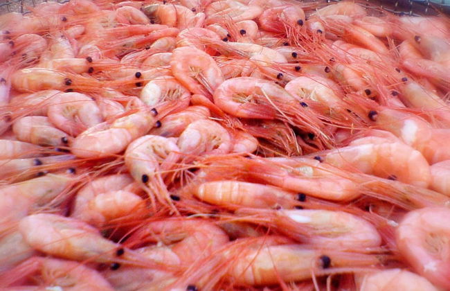 2 Person Holiday Home in Lysekil - Foto 9