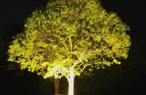 Ferienwohnung Wiesenblick - Foto 38