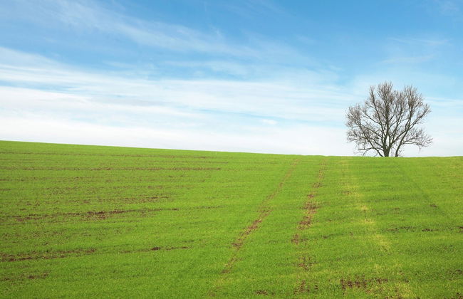 Charming Apartment in Wildemann With Garden - Photo 15