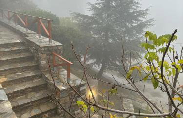 Οξυγόνο Πέτρινο εξοχικό στη Βυζίτσα Πηλίου - Foto 29