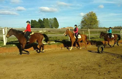 Holiday home in Muntic - Istrien 10956 - Foto 27