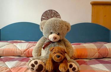 Peak Lodge Oga - Foto 14