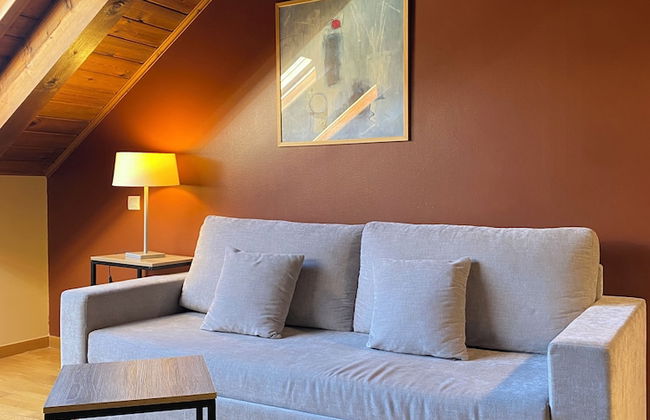 Aparthotel Siente Boí & Spa - Photo 24