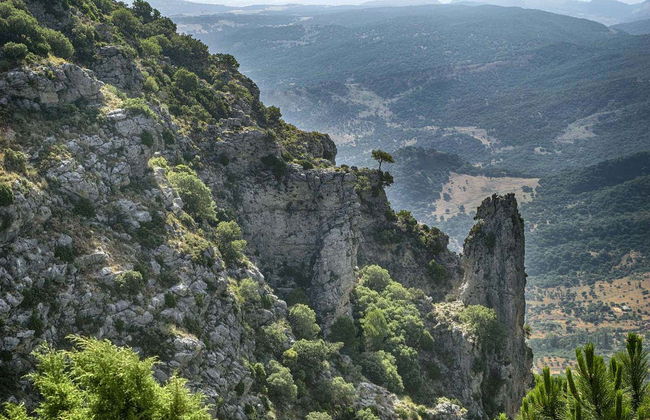 White Towns of Andalusia Tour - Foto 2