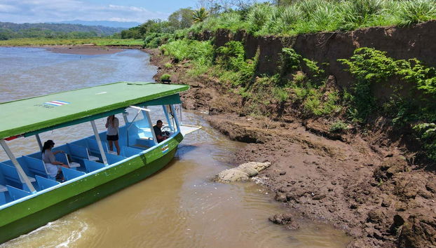 Observez d'impressionnants reptiles