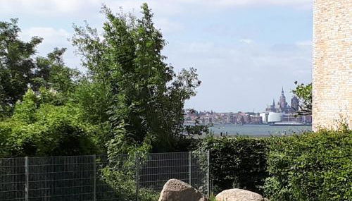 rosmarin-am-sund - Photo 3