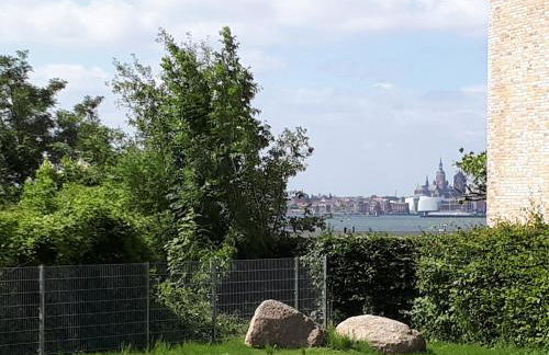 rosmarin-am-sund - Photo 3