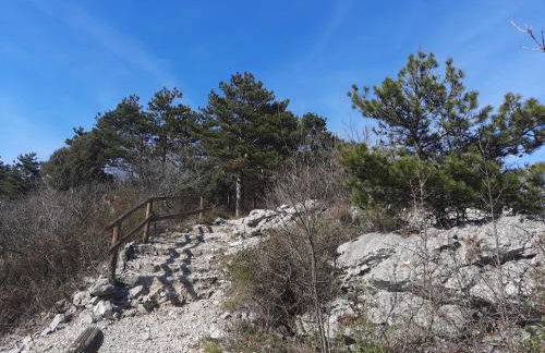 Agriturismo Ai Tre Sentieri - Foto 11