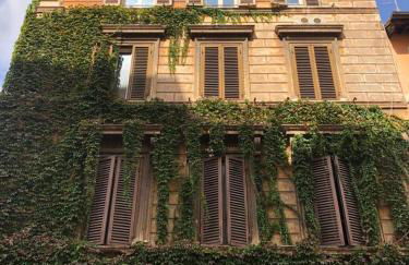 Vatican Color House - Foto 7