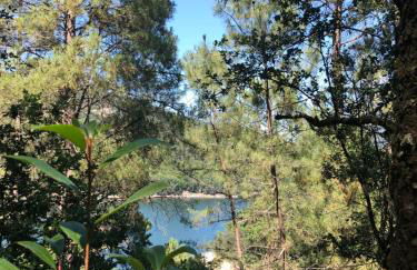 Sobreiro Valley - Casa Firmino - Foto 40