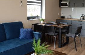 Domki Pod Łysicą- basen jacuzzi sauna - Foto 16